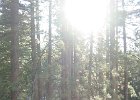 Tahoe 017